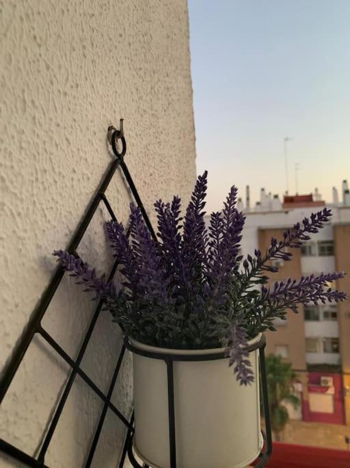 Anfitriones De Glamour - Albor De Sevilla Montequinto Luaran gambar